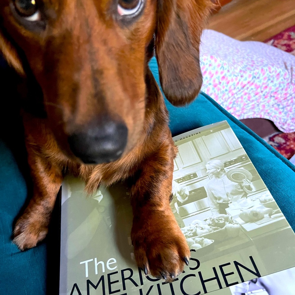 Meet your Posher, Kathleen